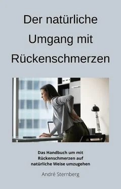 André Sternberg Der natürliche Umgang mit Rückenschmerzen обложка книги