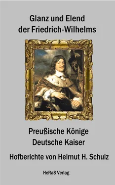 Helmut H. Schulz Glanz und Elend der Friedrich - Wilhelms обложка книги