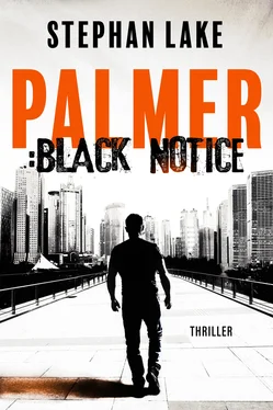 Stephan Lake Palmer :Black Notice обложка книги
