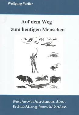 Wolfgang Weller, Prof. Dr. Auf dem Weg zum heutigen Menschen обложка книги