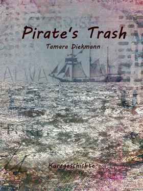 Tamara Diekmann Pirate's Trash обложка книги