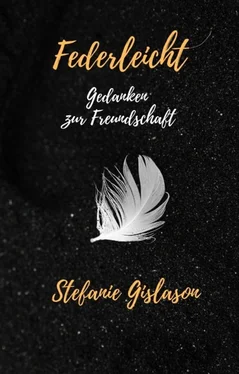 Stefanie Gislason Federleicht обложка книги