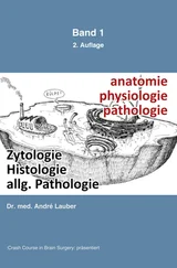 André Lauber - Zytologie, Histologie, allgemeine Pathologie