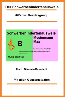 Mario Demmer-Benedetti Der Schwerbehindertenausweis обложка книги