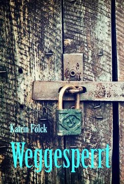 Katrin Fölck Weggesperrt обложка книги