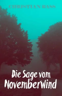 Christian Bass Die Sage vom Novemberwind обложка книги