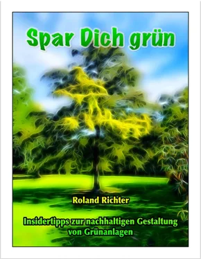 Roland Richter Spar Dich grün обложка книги