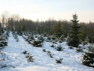 Es schneit wie gesagt in dicken Flocken und ich stapfe von einem Bein auf das - фото 2