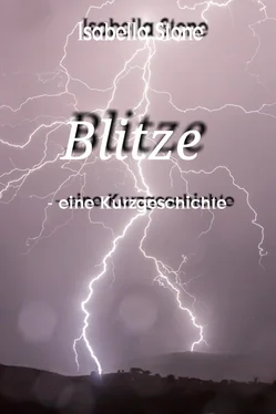 Isabella Stone Blitze обложка книги