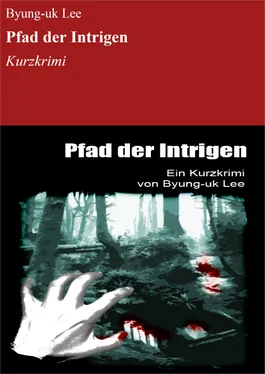 Byung-uk Lee Pfad der Intrigen обложка книги