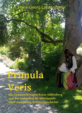 Hans-Georg Lanzendorfer Primula Veris обложка книги