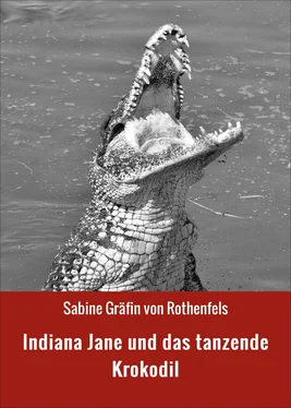 Sabine Gräfin von Rothenfels Indiana Jane und das tanzende Krokodil обложка книги