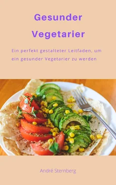 André Sternberg Gesunder Vegetarier обложка книги
