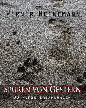 Werner Heinemann Spuren von Gestern обложка книги