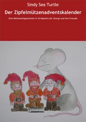 Sindy Sea Turtle - Der Zipfelmützenadventskalender