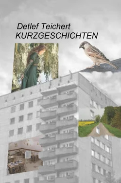 Detlef Teichert Kurzgeschichten обложка книги