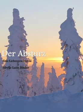 Sibylle Luise Binder Der Absturz обложка книги