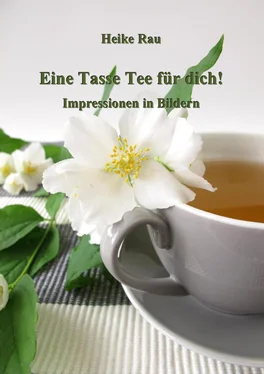Heike Rau Eine Tasse Tee für dich! - Impressionen in Bildern обложка книги