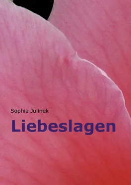 Sophia Julinek Liebeslagen обложка книги