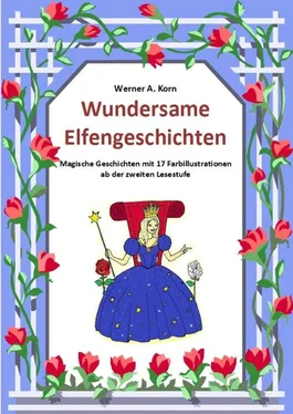 Werner A. Korn Wundersame Elfengeschichten обложка книги