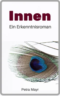 Petra Mayr Innen обложка книги