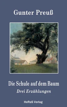 Gunter Preuß Die Schule auf dem Baum обложка книги
