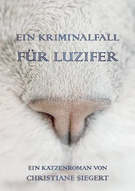 Christiane Siegert Ein Kriminalfall für Luzifer обложка книги