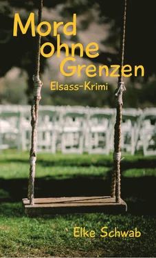 Elke Schwab Mord ohne Grenzen - Elsass-Krimi обложка книги