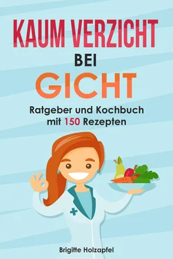 Brigitte Holzapfel Kaum Verzicht bei Gicht: Gicht Kochbuch & Ratgeber обложка книги