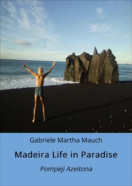 Gabriele Martha Mauch Madeira Life in Paradise обложка книги