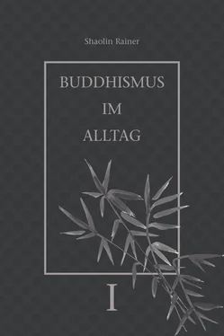 Rainer Deyhle Buddhismus im Alltag обложка книги