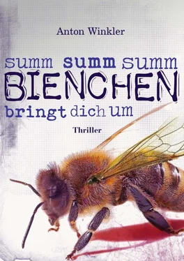 Anton Winkler Summ summ summ Bienchen bringt dich um обложка книги
