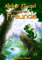 Alexandra Bauer - Kleine Flügel machen Freunde