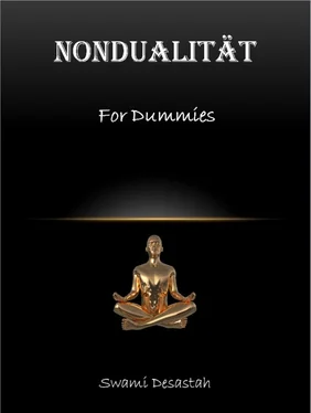 Swami Desastah Nondualität for Dummies обложка книги