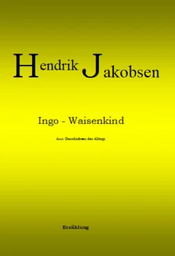 Hendrik Jakobsen Ingo - Waisenkind обложка книги