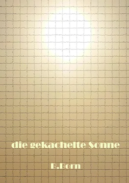 B. Born die gekachelte Sonne обложка книги