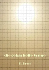 B. Born - die gekachelte Sonne