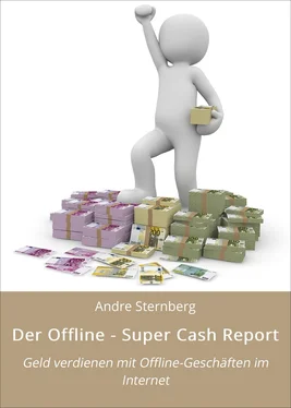 André Sternberg Der Offline - Super Cash Report обложка книги