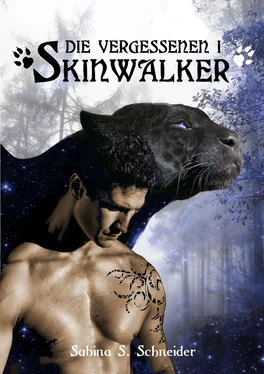 Sabina S. Schneider Die Vergessenen 01 - Skinwalker обложка книги