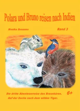 Monika Bonanno Polara und Bruno reisen nach Indien обложка книги