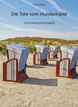 Hans-Joachim Ulbrecht Die Tote vom Hundestrand обложка книги