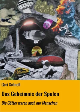 Geri Schnell Das Geheimnis der Spulen обложка книги