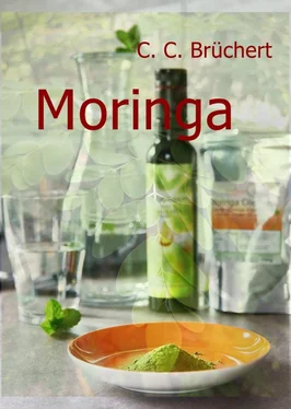 C. C. Brüchert Moringa обложка книги