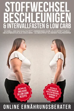 Online Ernährungsberater Stoffwechsel beschleunigen & Intervallfasten & Low Carb обложка книги