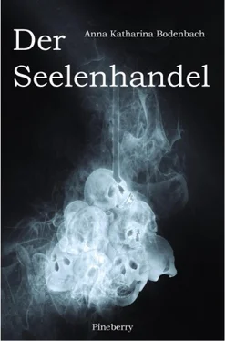 Anna Katharina Bodenbach Der Seelenhandel обложка книги