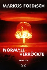 Markus H. Foedisch - Normale Verrückte