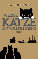 Ralf Steinit - Weiße Katze auf weißem Grund