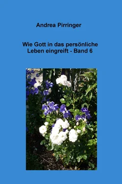 Andrea Pirringer Wie Gott in das persönliche Leben eingreift - Band 6 обложка книги