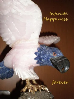One Human Infinite happiness forever обложка книги