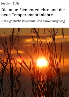 Joachim Stiller Die neue Elementenlehre und die neue Temperamentenlehre обложка книги